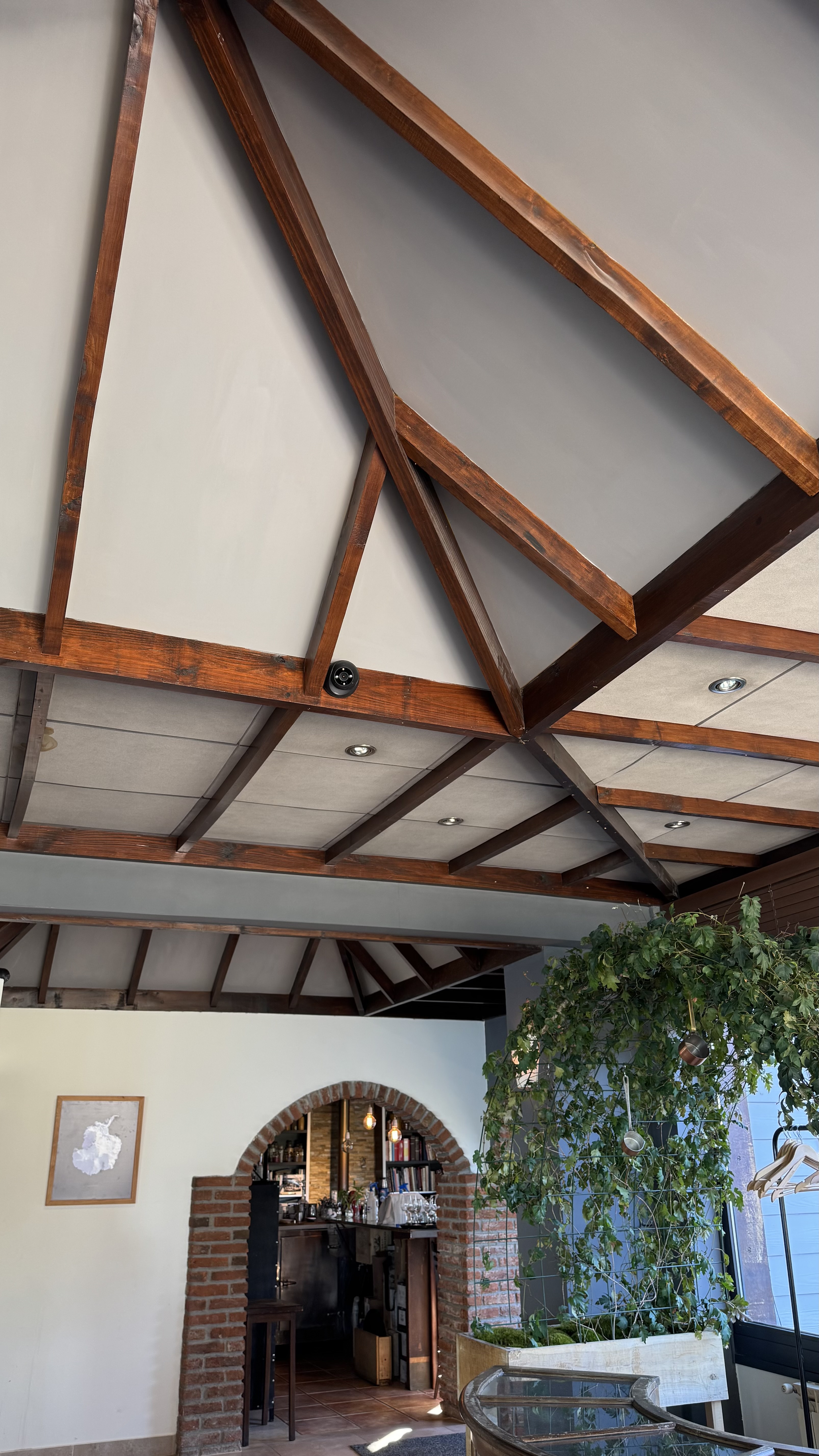 Chez Manu — detalle de cámara domo